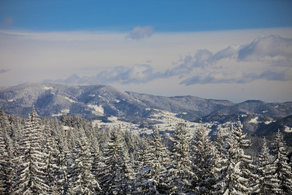 Villa Ibar Borovets Exterior photo