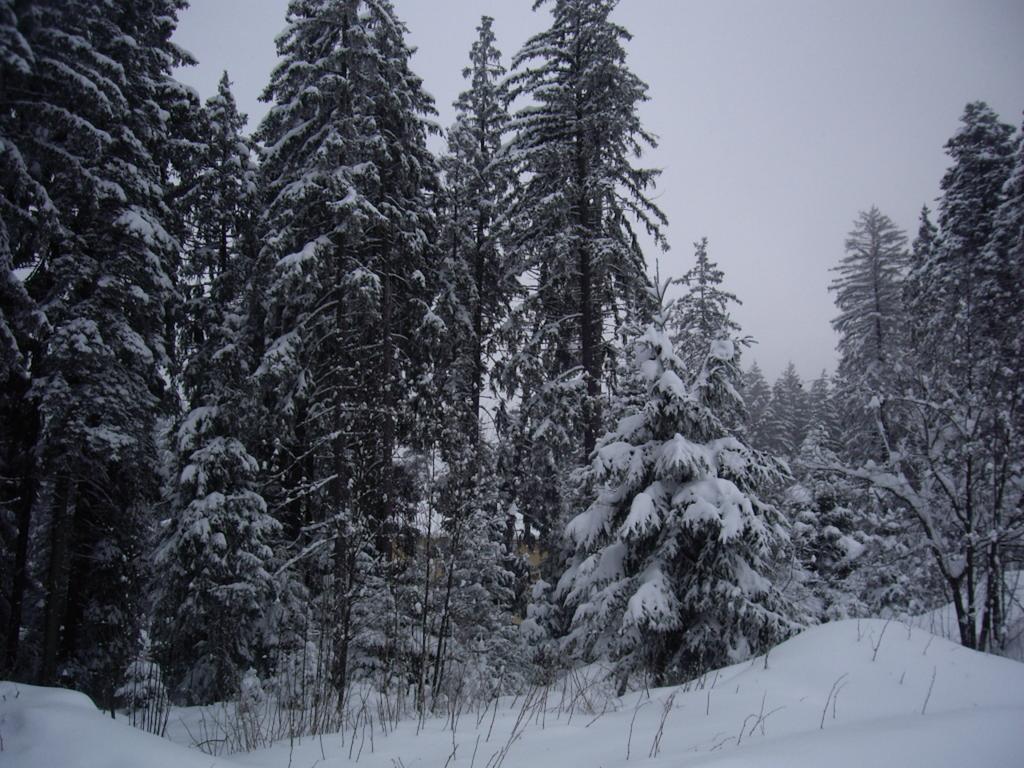 Villa Ibar Borovets Exterior photo